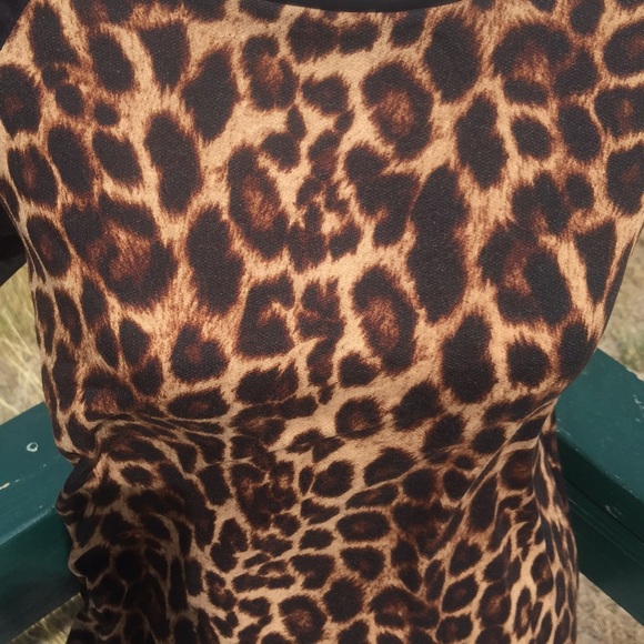 🐾Casual Animal Print Raglan 🐾 - Picture 4 of 8